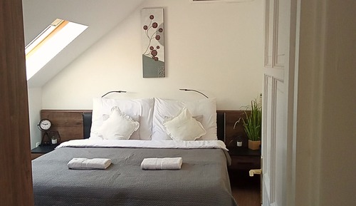 Habitación estándar con 1 cama doble o 2 individuales (4)