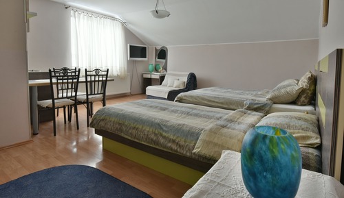 Estudio básico, varias camas, baño privado (6)