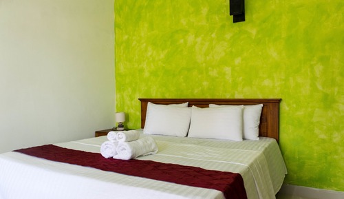Habitación estándar doble, balcón, vistas al jardín