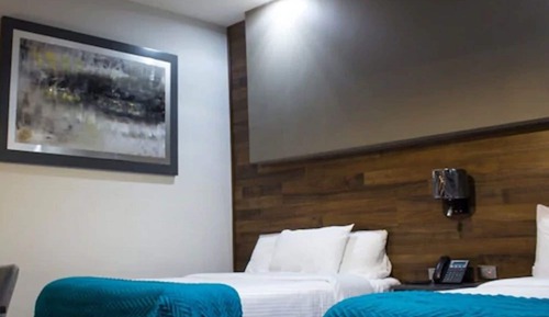Habitación básica doble, 2 camas dobles