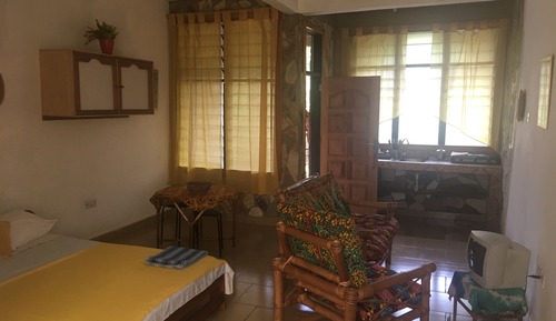 Estudio Signature, vistas al jardín, en la zona del jardín