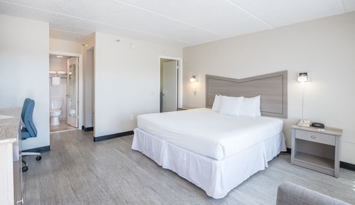 Suite estándar, 1 cama de matrimonio grande