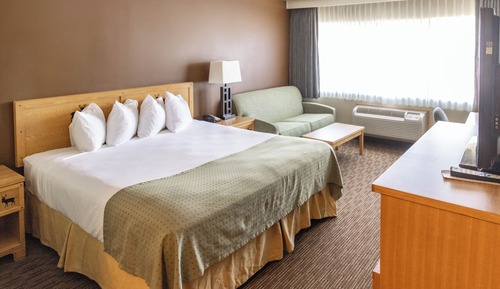 Habitación, 1 cama de matrimonio grande con sofá cama
