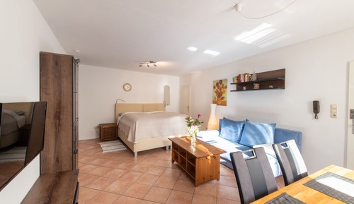Suite estudio Confort, 1 cama de matrimonio grande, planta baja (2)