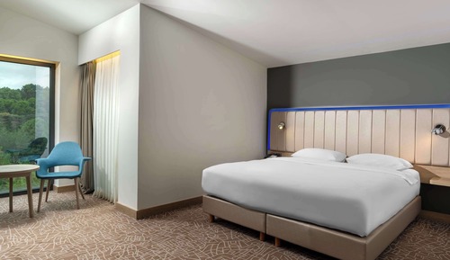 Suite junior (Forest View)