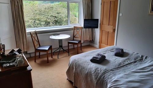 Habitación doble, baño privado, vistas a la montaña