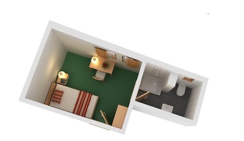 Habitación individual, vistas a la montaña