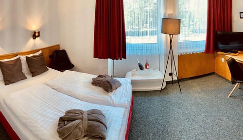 Habitación Confort con 1 cama doble o 2 individuales