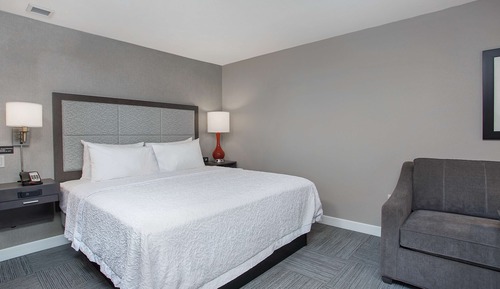 Habitación, 1 cama de matrimonio grande con sofá cama, frigorífico y microondas