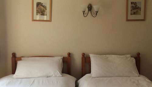 Habitación clásica con 2 camas individuales, baño privado, vistas al jardín (Room 2)