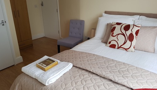 Habitación Premium doble, baño privado, vistas al jardín (Room 3)