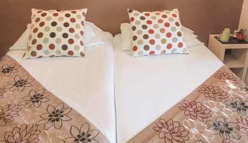 Habitación estándar con 2 camas individuales, baño privado