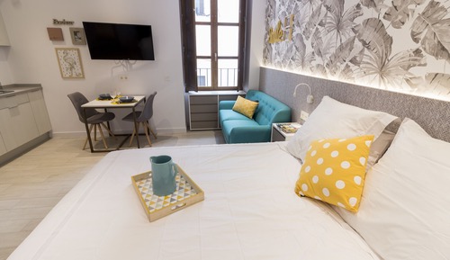 Estudio Confort, 1 cama doble