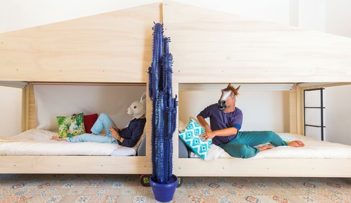 Dormitorio compartido, baño compartido (8-12 Beds) (1 Bunk Bed)