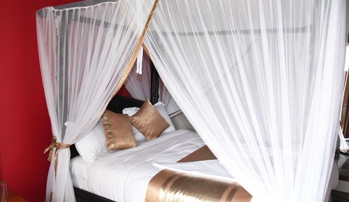 Suite, 1 cama de matrimonio (Savannah)