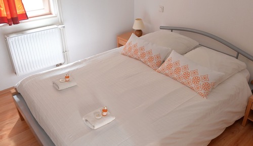 Mountain view apartment (Hunawihr)