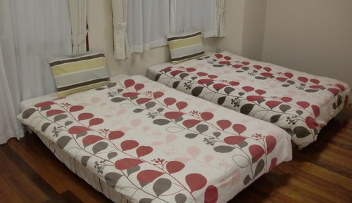 Habitación Deluxe con 2 camas individuales, no fumadores, cocina (30m2)