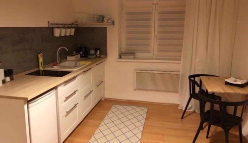 Apartamento Deluxe, 1 habitación, cocina, vistas al jardín