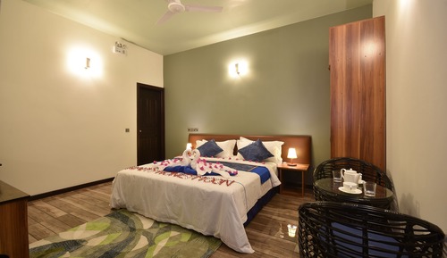 Habitación Deluxe con 1 cama doble o 2 individuales