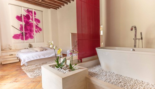 Suite superior, baño privado (Orchidée)