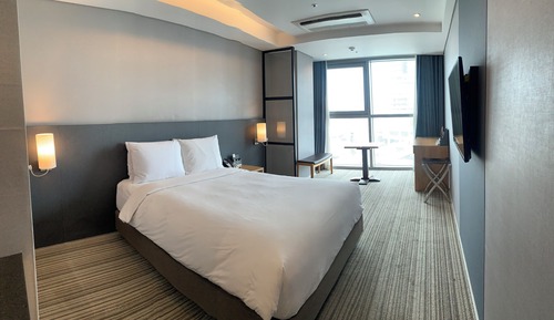 Habitación estándar doble, vistas a la ciudad