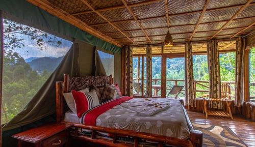 Habitación de lujo