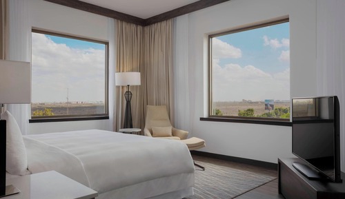 Suite ejecutiva, 1 cama de matrimonio grande, vistas al parque