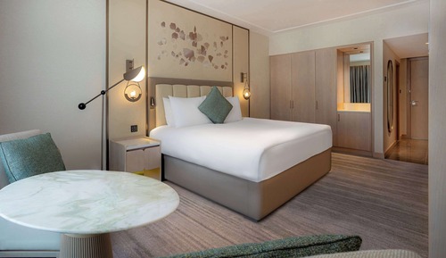 Habitación Premium, 1 cama de matrimonio grande