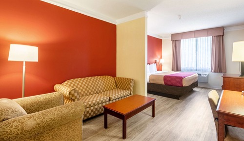 Suite, 1 cama de matrimonio grande, accesible para personas con discapacidad, no fumadores