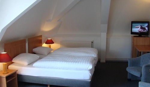 Habitación Confort doble, 1 cama doble o 2 individuales