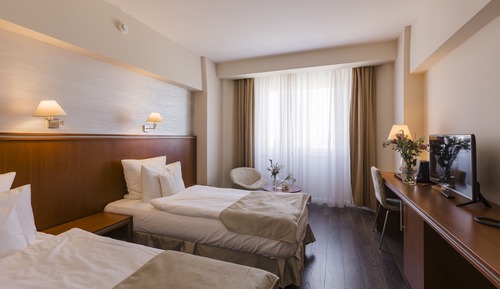 Habitación Business doble