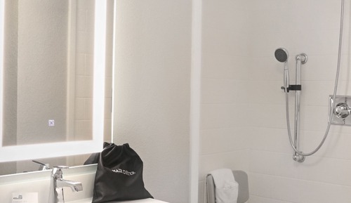 Habitación estándar, 1 cama de matrimonio grande (Mobility, Roll-In Shower)