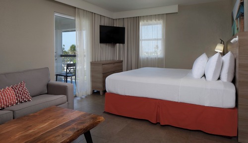 Standard Room, 1 King Bed with Sofa bed