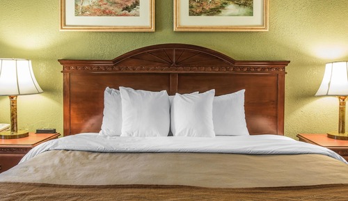 Habitación estándar, 1 cama de matrimonio grande, no fumadores