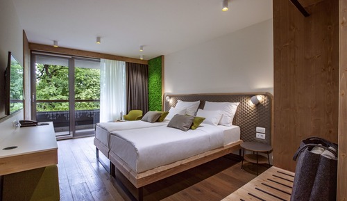 Habitación doble, balcón, vistas al parque