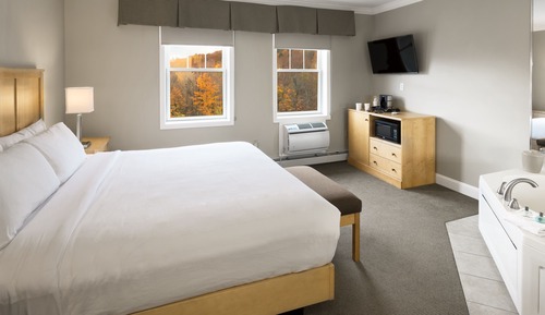 Suite, 1 cama de matrimonio grande