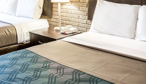 Habitación estándar, 2 camas de matrimonio, no fumadores