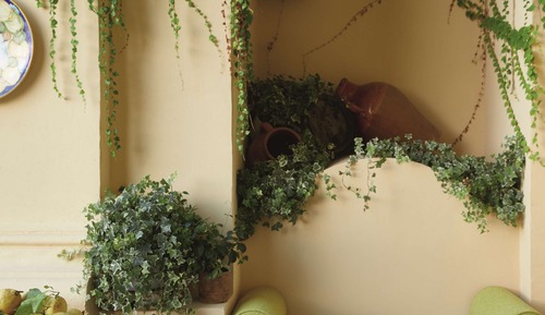 Suite, vistas al mar (Garden)