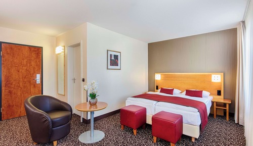 Habitación estándar doble, 1 cama doble