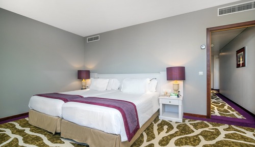 Suite, 1 cama de matrimonio con sofá cama