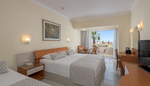 Habitación estándar, vistas al jardín