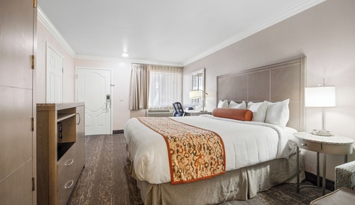 Habitación individual básica, 1 cama de matrimonio grande