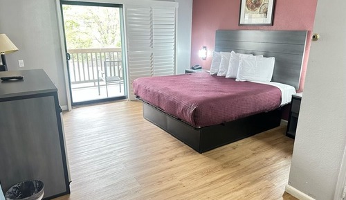 Habitación individual estándar, 1 cama de matrimonio grande, frigorífico y microondas