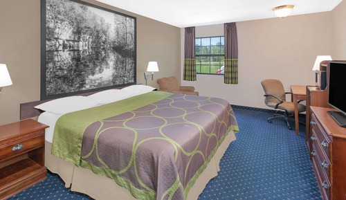 Habitación estándar, 1 cama de matrimonio grande