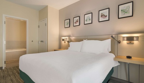 Suite, 1 habitación, bañera de hidromasaje