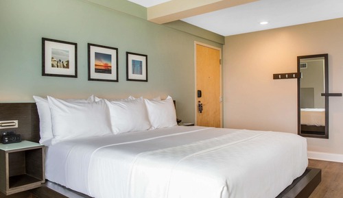 Suite ejecutiva, varias camas, no fumadores