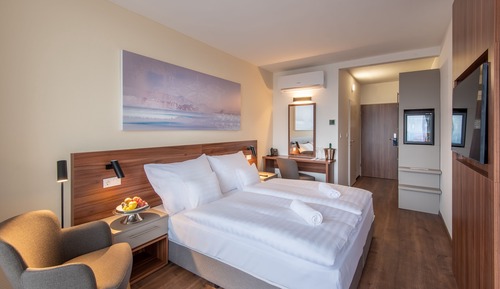 Habitación estándar con 1 cama doble o 2 individuales