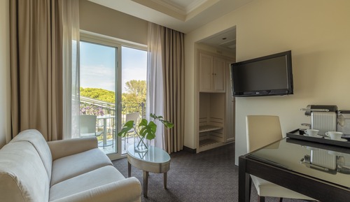 Suite, balcón, vistas al lago