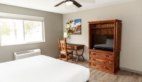 Habitación estándar, 1 cama de matrimonio grande, frigorífico y microondas