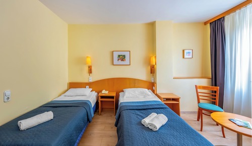 Habitación estándar con 2 camas individuales